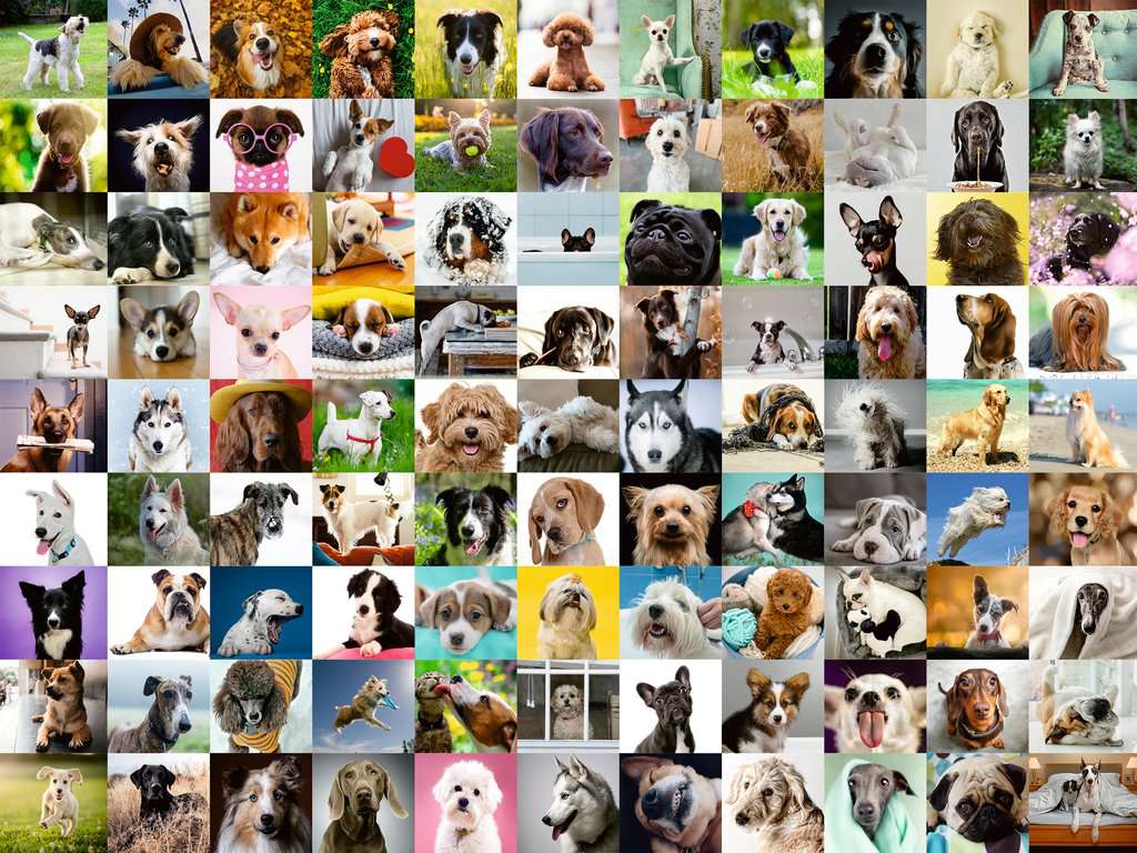 Hart Puzzles 1000-Piece Dogs, Dogs, Dogs by Sherri Buck Baldwin  Interlocking Jigsaw Puzzle 